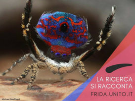 FRidA - La ricerca si racconta anche sui social!